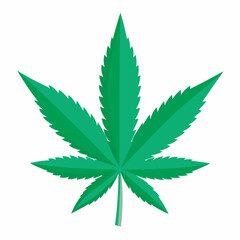 Green marijuana leaf vector illustration and artwork 