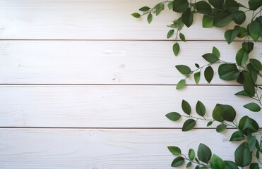 White wood texture with green leaves border.