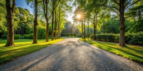 Fototapeta premium A sunlit pathway through a verdant landscape, leading to a hidden destination, with tall trees framing the scene, casting long shadows on the gravel surface