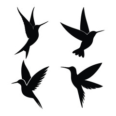 set of birds collection vector design