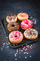 Traditional festive glazed doughnuts with icing sugar and chocolate decorated with colorful coatings and sprinkles on a cooling rack