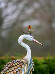 Robin Perched on a Heron Statue
