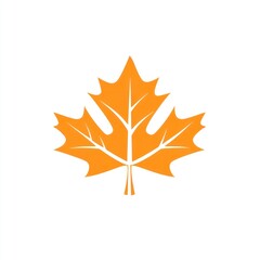Fototapeta premium An Orange Maple Leaf Isolated on White