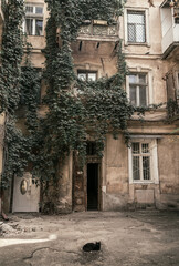 The coastline of the Black Sea consists not only of sandy beaches, but also of rocky slopes.