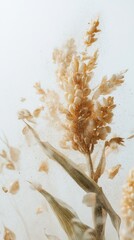 Golden Hour Dried Flowers in a Stunning Dust Explosion. A Captivating Botanical Still Life with Stunning Details
