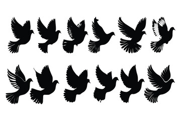 A silhouette of set of pigeon birds. Vector illustration