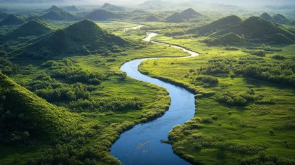 Fotobehang Serene river winding through vibrant green hills in a tranquil landscape during daytime © olegganko