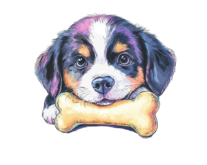 Cute dog with a bone, white isolated background.