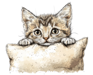 Cute kitten resting on a pillow, cartoon style, detailed and adorable.