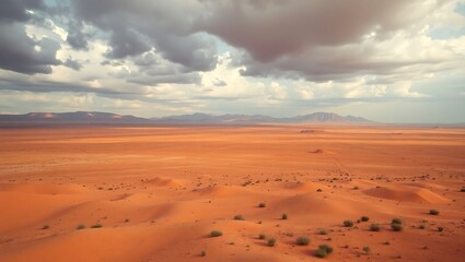 sand dunes in the desert