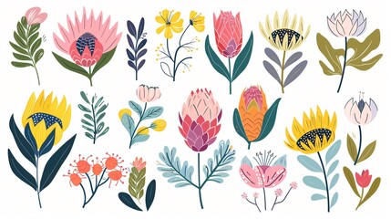 Vibrant Protea Flowers Collection: Abstract and Colorful Blooms for Design Projects