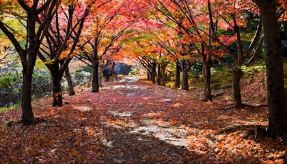 Embrace the beauty of twilight as days grow shorter.  