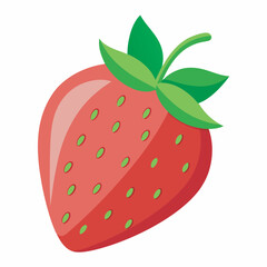 Obraz premium Strawberry vector illustration and artwork