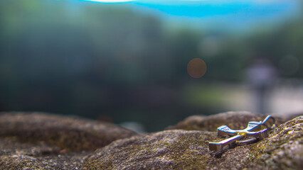 Small Horseshoe Nail Cross on Stone Flat