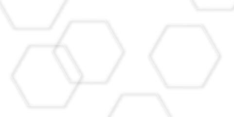 Fototapeta premium Abstract geometric technology 3d white light structure technology out line hexagon polygonal honeycomb luxury pattern vector background.