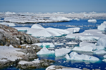 antarctic panorama with icebergs and rocks and blue sky