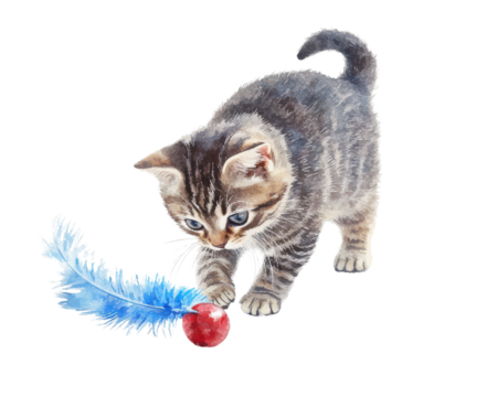 Playful kitten interacting with a feather toy, white isolated background.