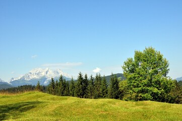 Buckelwiesen bei Mittenwald