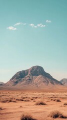 Fototapeta premium desert landscape with copy space vertically 9:16