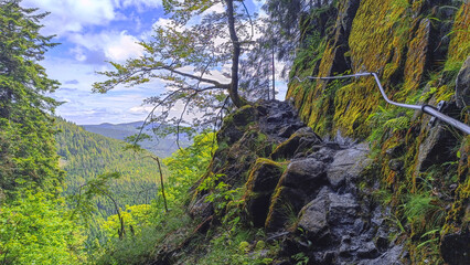 Sentier des Roches dans les Vosges massif du Hohneck - France 