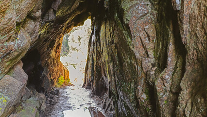 Sentier des Roches dans les Vosges massif du Hohneck - France 