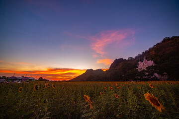   A vibrant scene featuring a glowing Buddhist temple nestled on a hill, with a sprawling sunflower...