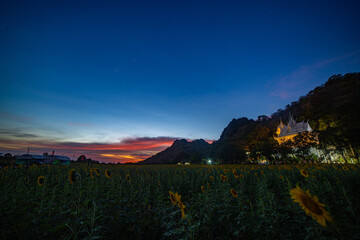 A vibrant nighttime scene featuring a glowing Buddhist temple nestled on a hill, with a sprawling sunflower field in the foreground under a starry sky. A field full of yellow sunflowers background