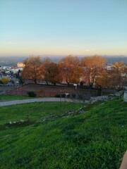 Obraz premium autumn landscape with a trees