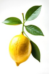 Lemon Fresh Fruit Natural Healthy Vitamin Food Close Up