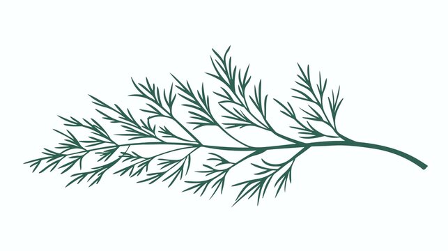 green dill sprig on white background clip art preview