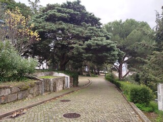 path in the park