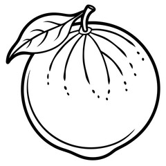 illustration of an apple