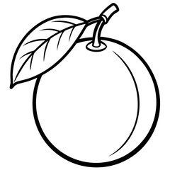 illustration of an apple fruit