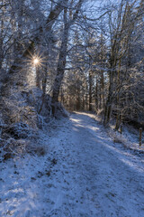 Aufnahme von Schneelandschaft mit Sonnenstern und blauen Himmel.