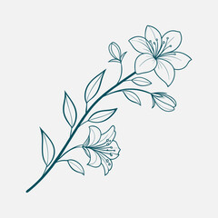 A delicate hand drawn outline of a simple flower