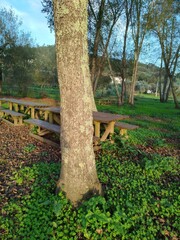 bench in the park