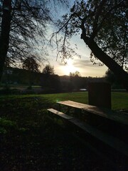 sunset in the park