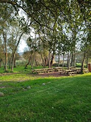 path in the park