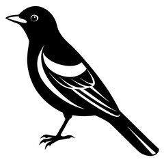 bird on a branch