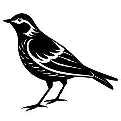 bird on a branch