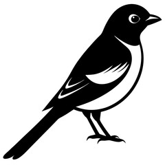 bird on a branch
