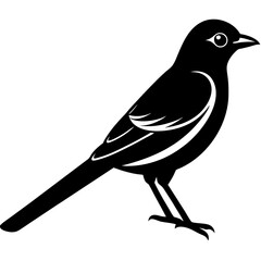 illustration of a bird