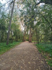 path in the park