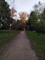 Lots of nature, in a green park in Mealhada, Portugal