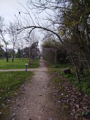 path in the park