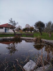 Beautiful portrait of a green park, with a view of a lake and lots of nature