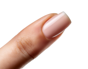 nail isolated on white background, cut out 