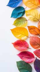 Autumn Leaves in a Spectrum of Colors: A Vibrant Display of Nature's Beauty