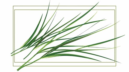 Fresh Garlic Chives Leaf Vector Illustration Isolated on White Background