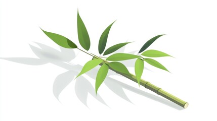 Fototapeta premium Isometric illustration of a bamboo branch with green leaves and a shadow on a white background.